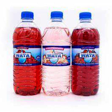 WATA CRANBERRY FLAVOURED ASSRT. 600ML (pk 3) - Sweet Jamaica Shopping